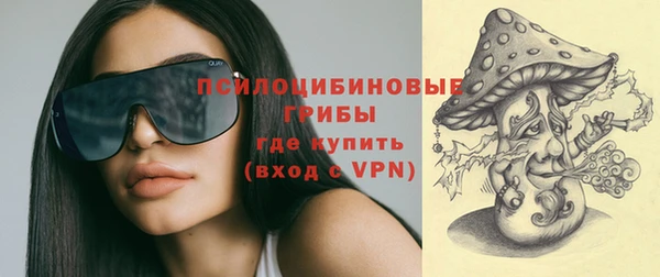 МДПВ Алзамай